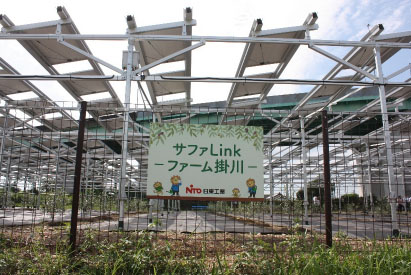 Safalink Farm Kakegawa
